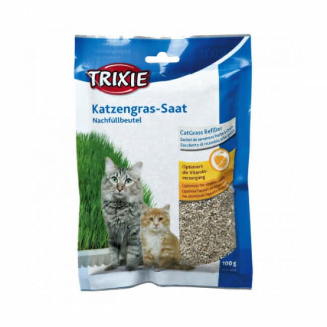 Sachet de semences d'herbe à chat Trixie 100g pour chaton et chat délicat
