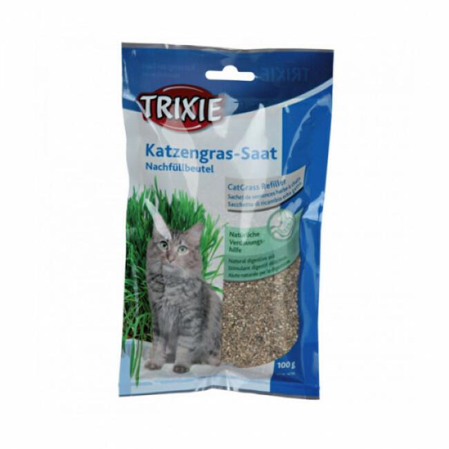 Sachet de semences d'herbe à chat Trixie 100g