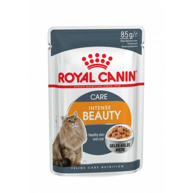 Sachets pour chats Royal Canin Intense Beauty