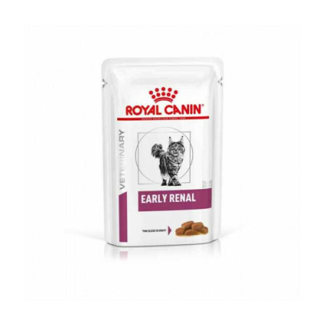 Sachets pour chats senior Royal Canin Early Renal Senior Consult Stage 2