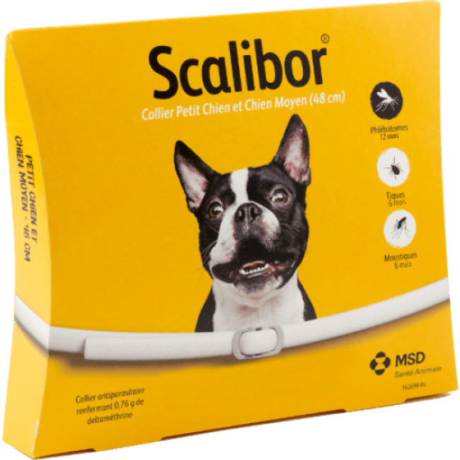 Scalibor anti tique collier pour chien
