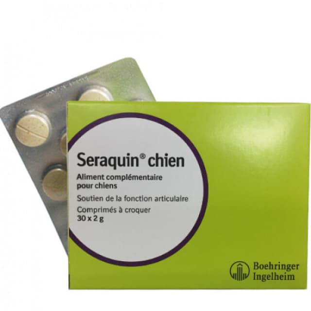 seraquin chien