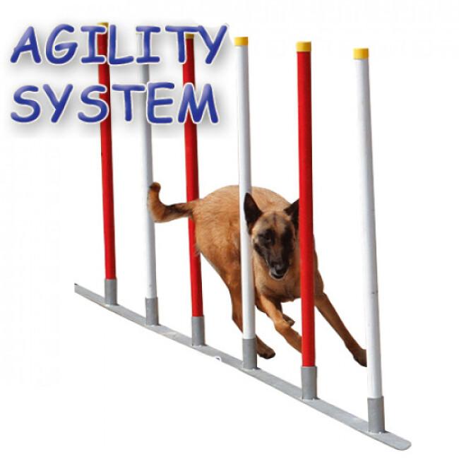 Slalom 12 poteaux Agility System pour sport canin
