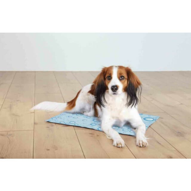 Tapis refroidissant pour chien