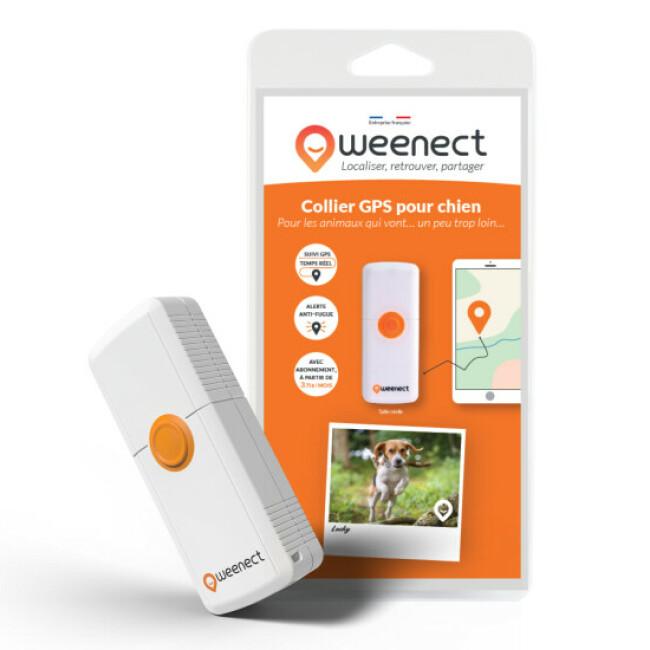 Traceur GPS pour chien Weenect Dogs 2