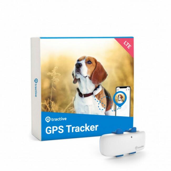 Traceur GPS + suivi d'activité Tractive pour chien