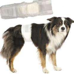 Couche incontinence jetable pour fuite urinaire du chien mâle