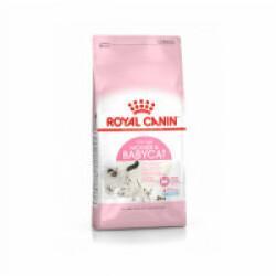 Croquettes Royal Canin Babycat 34 pour chaton