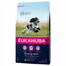 Croquettes pour chien junior race moyenne Eukanuba