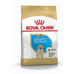 Croquettes pour chiot Labrador Retriever Puppy Royal Canin