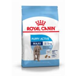 Croquettes pour chien Royal Canin junior actif grande race