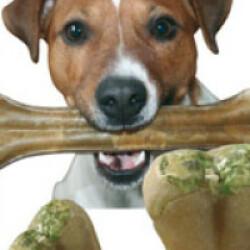 Denta snack soin des dents pour chien
