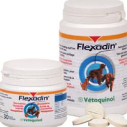 Flexadin pour chien et chat souffrant d'arthrite ou d'arthrose