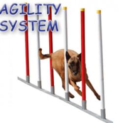 Slalom 12 poteaux Agility System pour sport canin