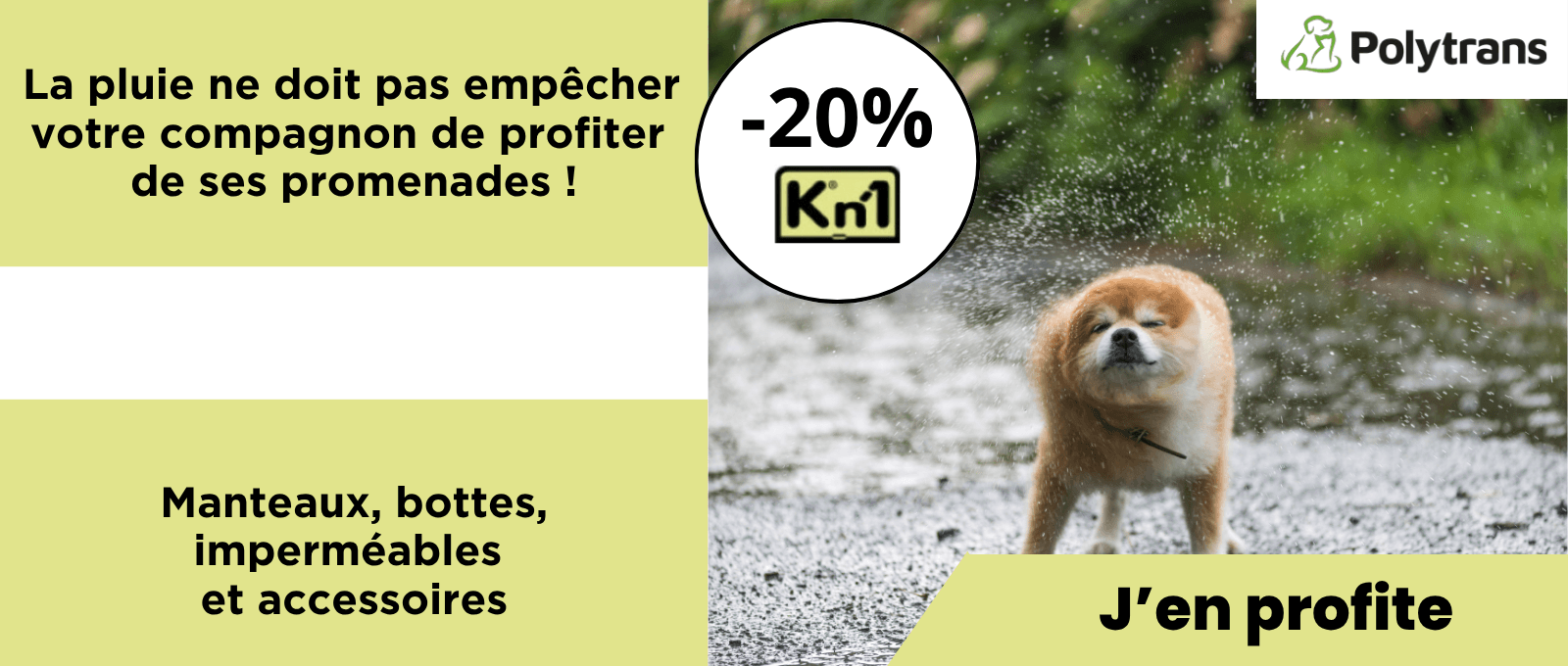 La pluie ne doit pas empêcher votre compagnon de profiter de ses promenades !