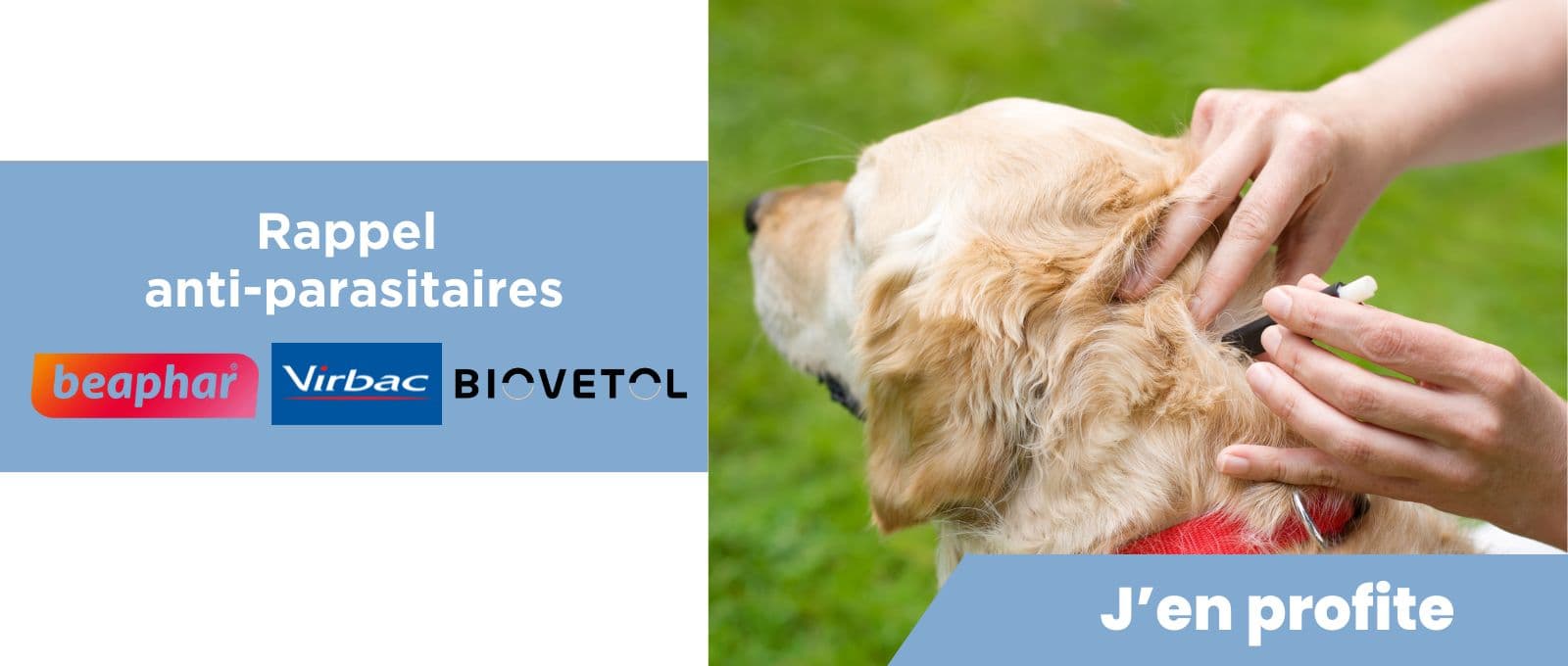 Rappel anti-parasitaires : beaphar, virbac etc ...