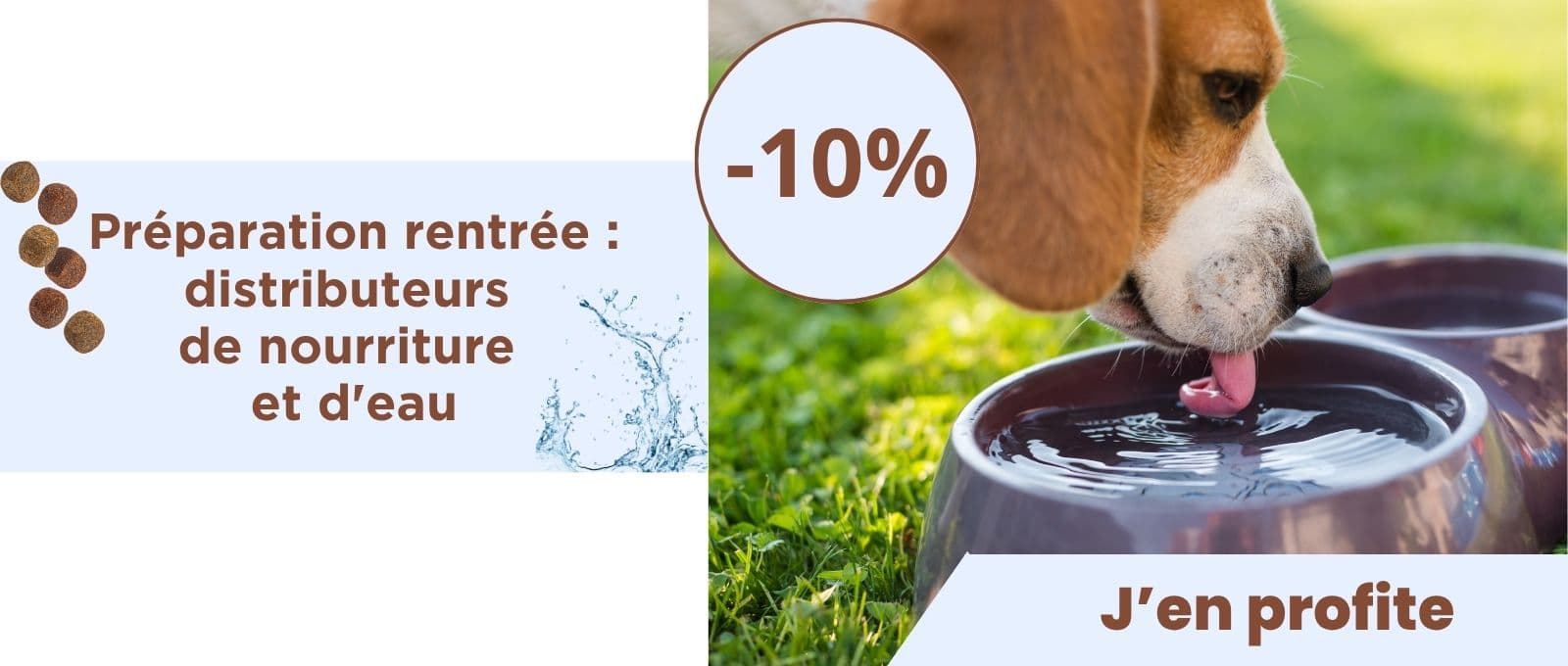 Préparation rentrée : distributeurs de nourriture et d'eau -10% de réduction