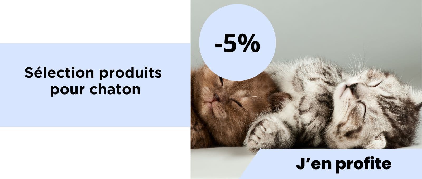 Sélection produits pour chaton : -5% de réduction !