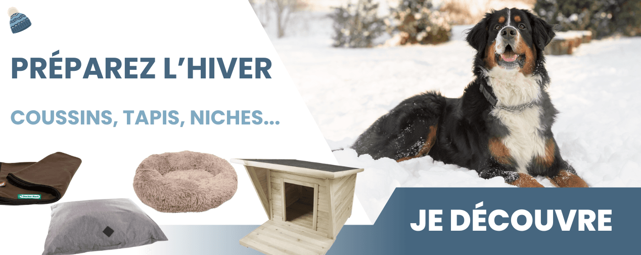 Hiver poly